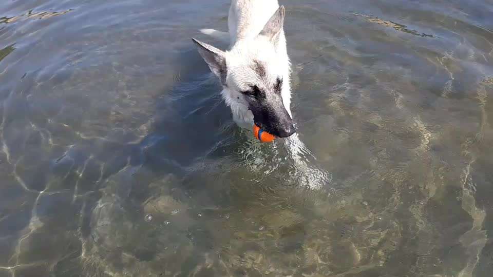 Handy Video Challenge Nr. 31: Wasser-Beitrag-Bild