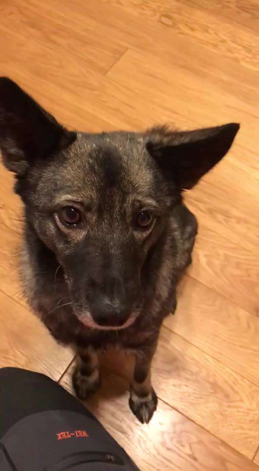 𝕋ℝ𝕀ℂ𝕂 ℂℍ𝔸𝕃𝕃𝔼ℕ𝔾𝔼 ℕℝ. 𝟚-Beitrag-Bild