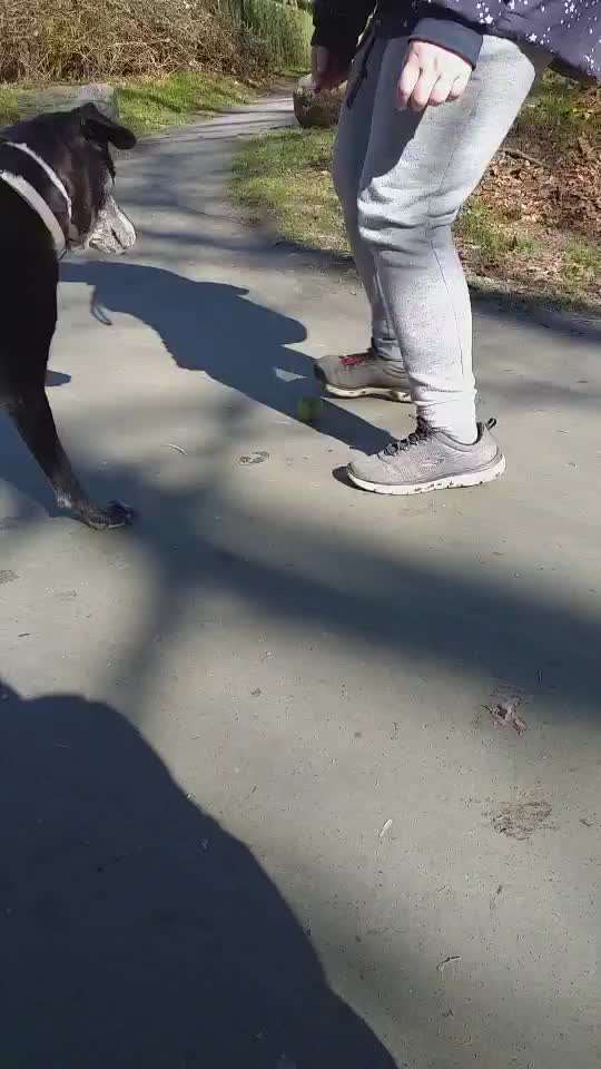 55. Video Challange: lustiges Video/Lieblingsvideo-Beitrag-Bild