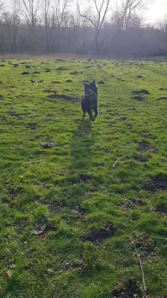 55. Video Challange: lustiges Video/Lieblingsvideo-Beitrag-Bild