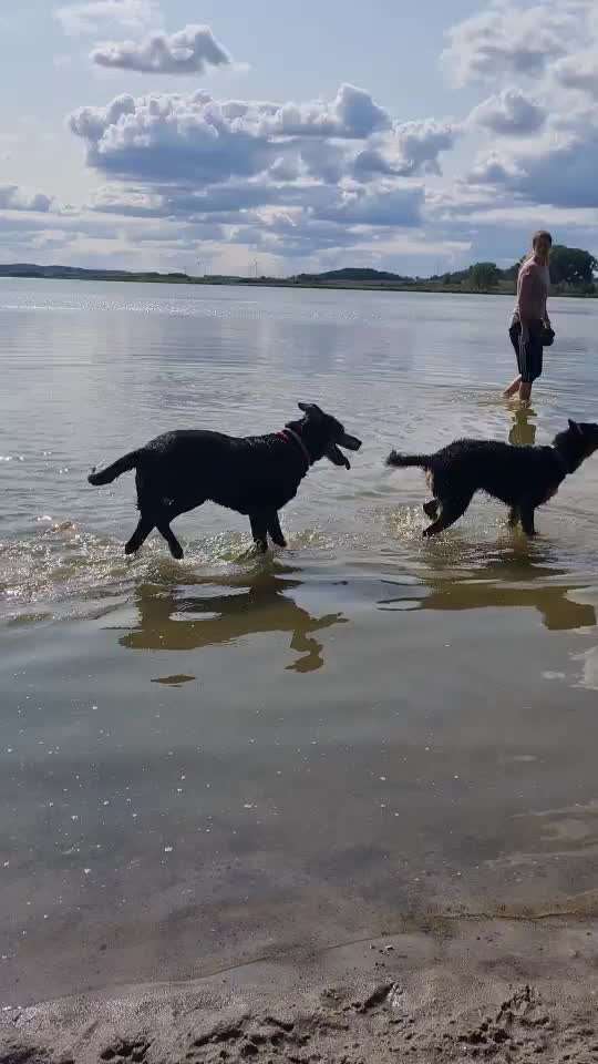 50. Video Challenge - Wasserscheu oder nicht-Beitrag-Bild