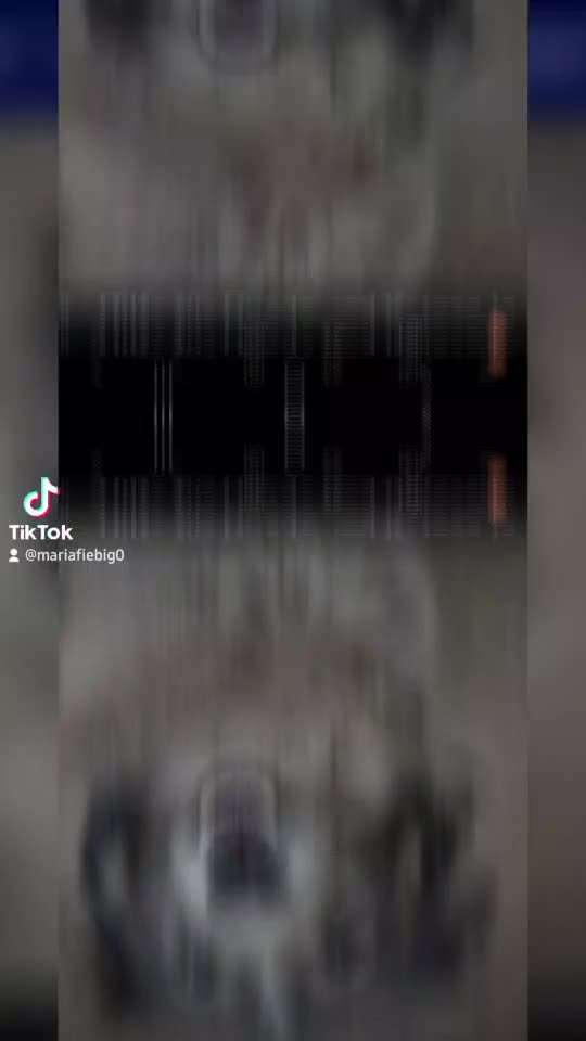 Unsere Fellnasen im Regenbogenland-Beitrag-Bild