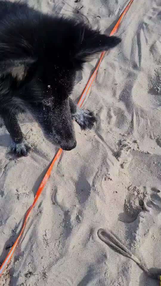 Handy Video Challenge Nr. 31: Wasser-Beitrag-Bild