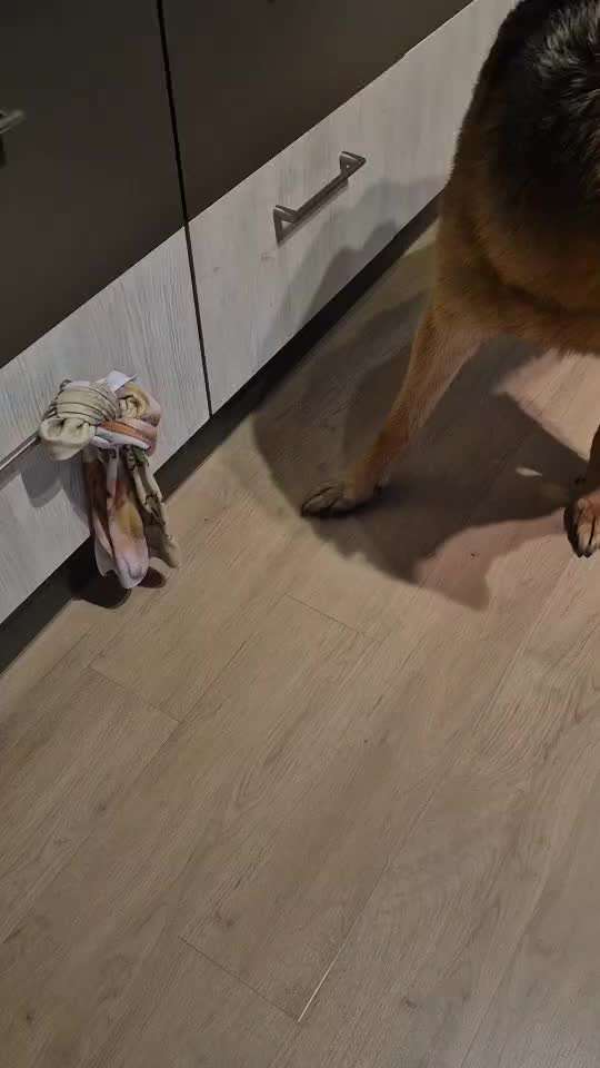 Bänder überdehnt - 5 Monate-Beitrag-Bild
