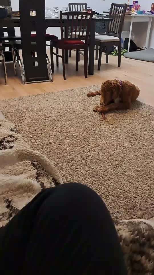 Wie habt ihr den Silvesterabend verbracht?-Beitrag-Bild