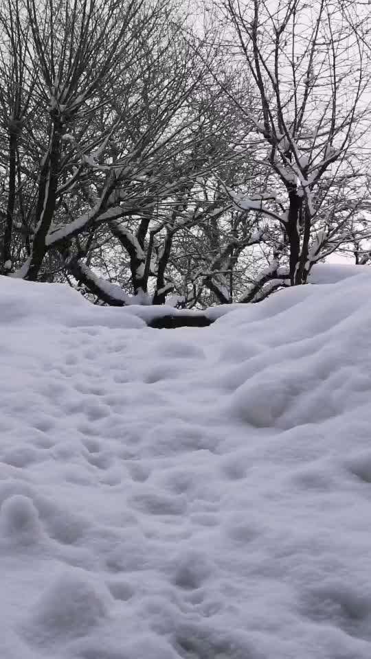 15. Video Challenge.  In SloMo die Welt erkunden!-Beitrag-Bild