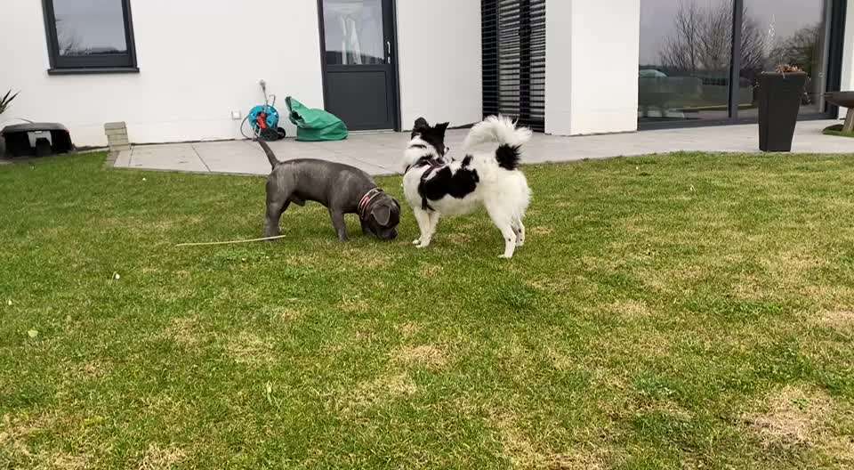 Analyse & Interpretation von Verhalten-Beitrag-Bild