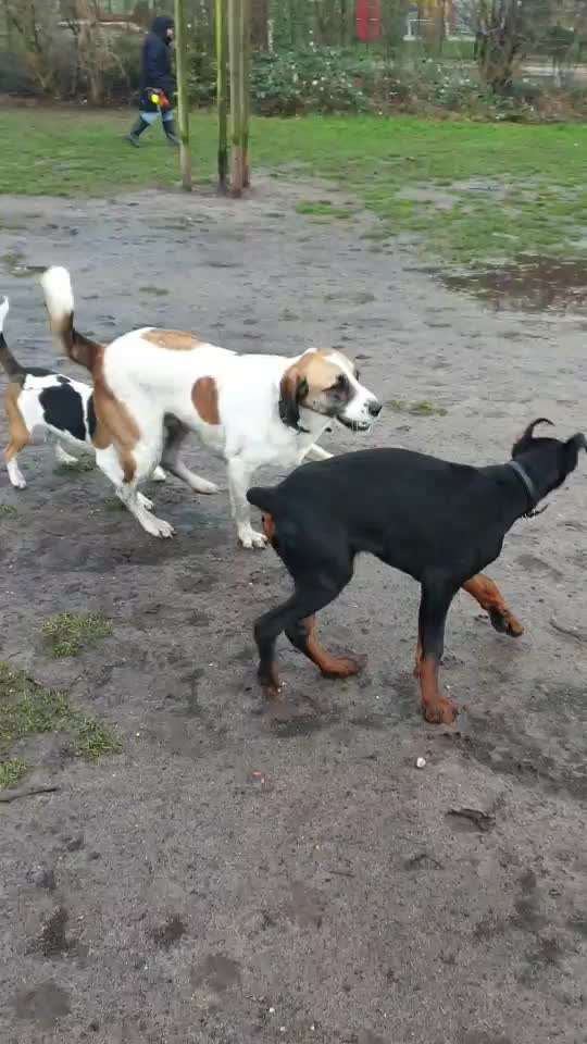 Lieblingsbild-Beitrag-Bild