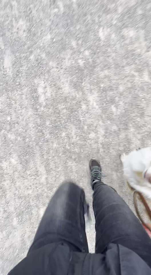 Dogorama Blog Challenge: Hundetricks-Beitrag-Bild