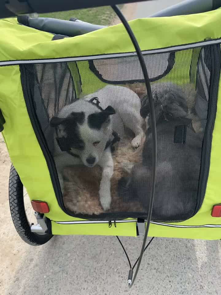 Überforderter Senior-Beitrag-Bild