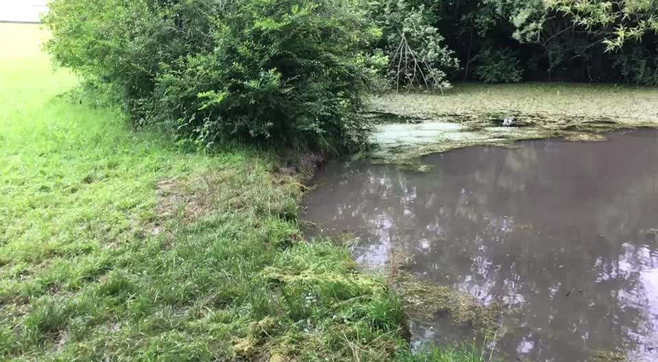 42. Handy Video Challenge-Beitrag-Bild