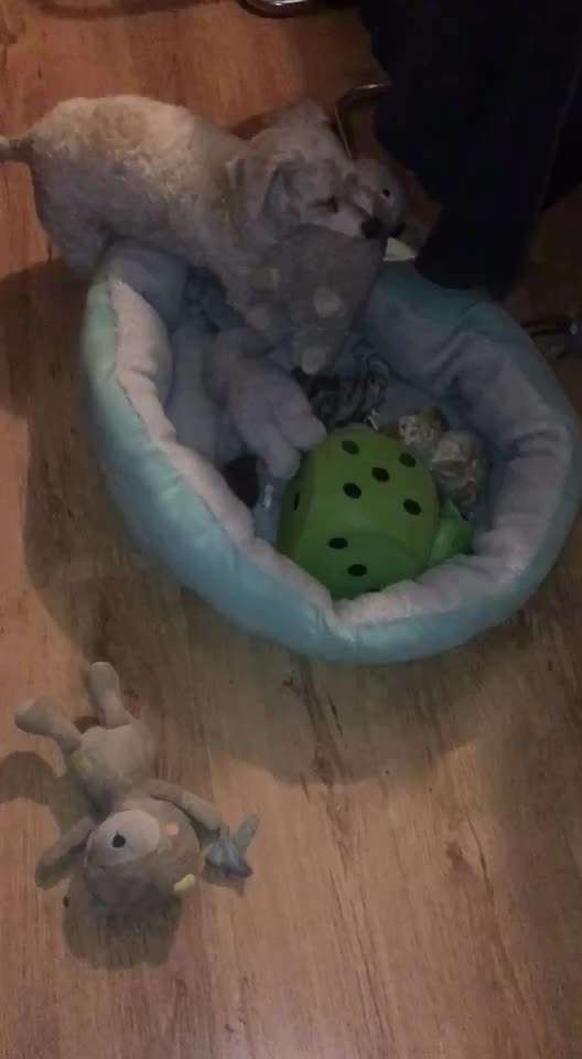 die letzten Jahre mit Malin geniessen.-Beitrag-Bild