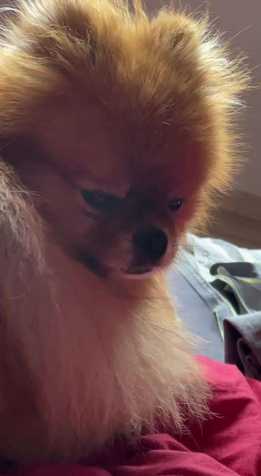 Nasenscheidewandverkrümmung-Beitrag-Bild