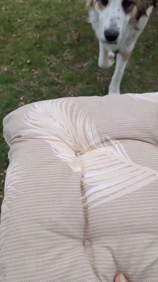 87. Trickchallenge: kinntarget-Beitrag-Bild