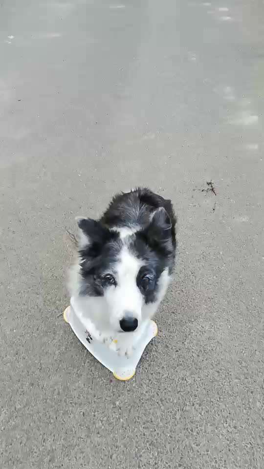 Veteranenzone - Koffer packen für fortgeschrittene-Beitrag-Bild