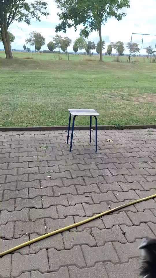 87. Trickchallenge: kinntarget-Beitrag-Bild