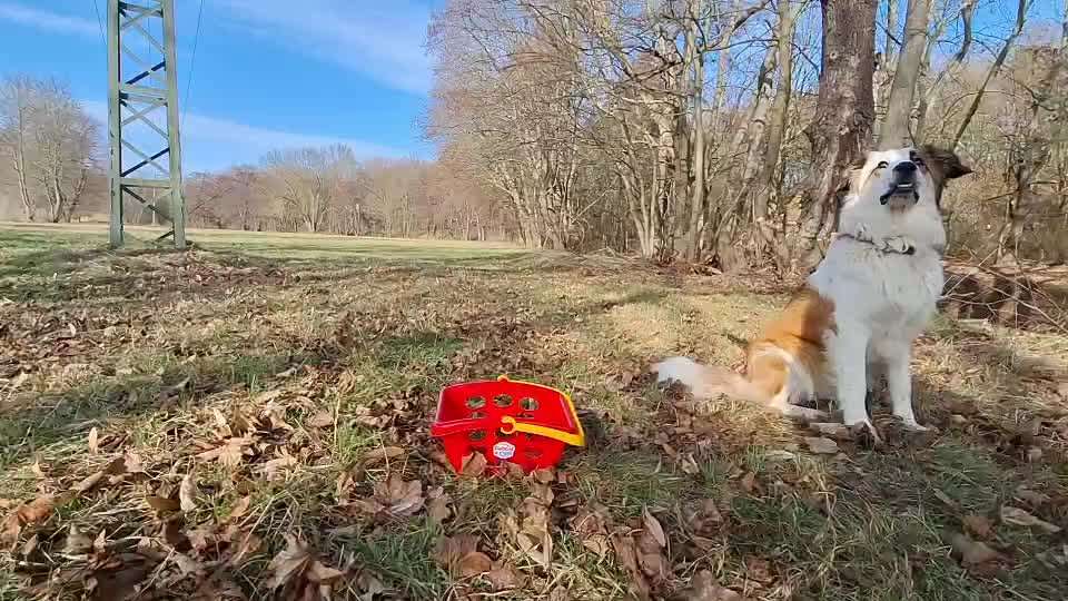 aktuelles Foto Gruppe Trickkiste