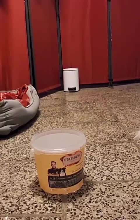 aktuelles Foto Gruppe Trickkiste