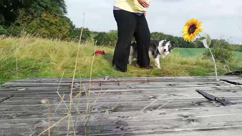 Veteranenzone - Koffer packen für fortgeschrittene-Beitrag-Bild