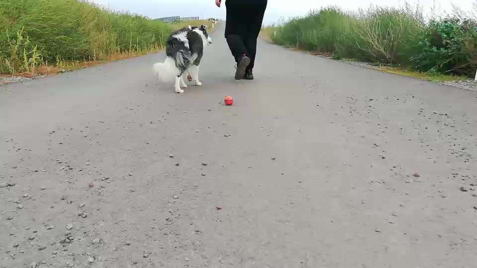 Veteranenzone - Koffer packen für fortgeschrittene-Beitrag-Bild