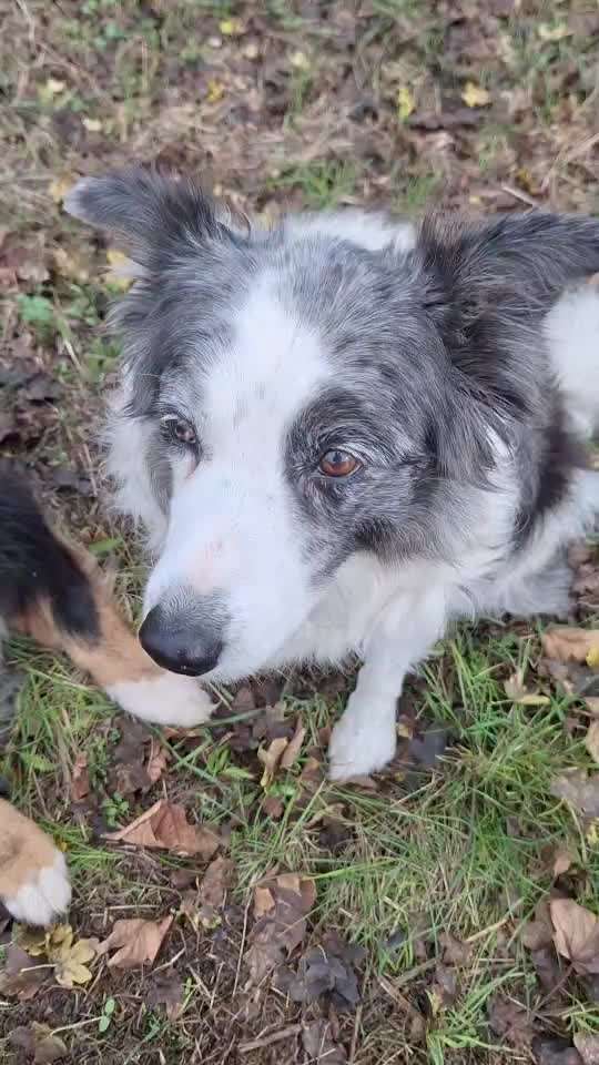 44. Impulskontrolle Callenge: ,,Essen ins Gesicht legen"-Beitrag-Bild