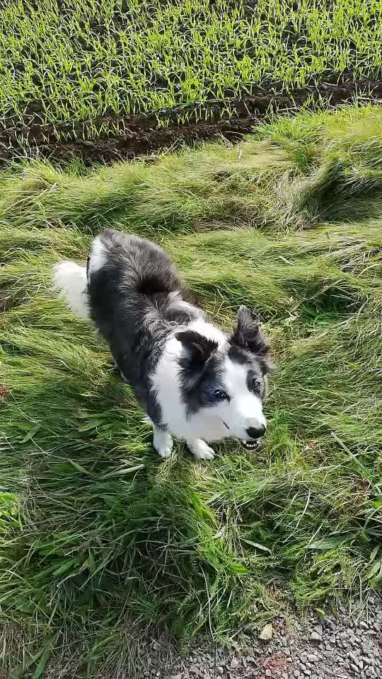 Trickchallenge - ich packe meinen 6. Koffer-Beitrag-Bild