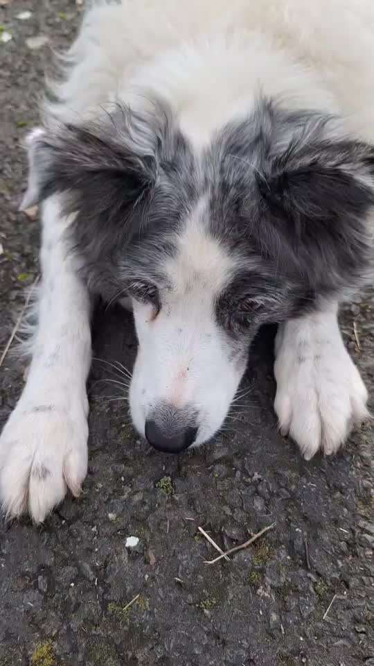 44. Impulskontrolle Callenge: ,,Essen ins Gesicht legen"-Beitrag-Bild