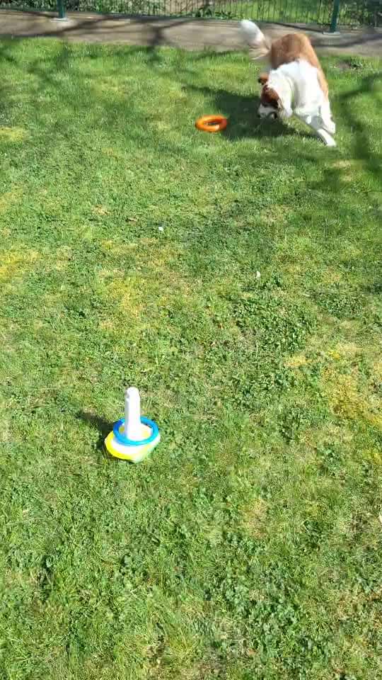 aktuelles Foto Gruppe Trickkiste