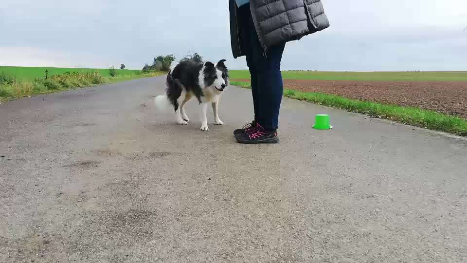 Trickchallenge - ich packe meinen 6. Koffer-Beitrag-Bild