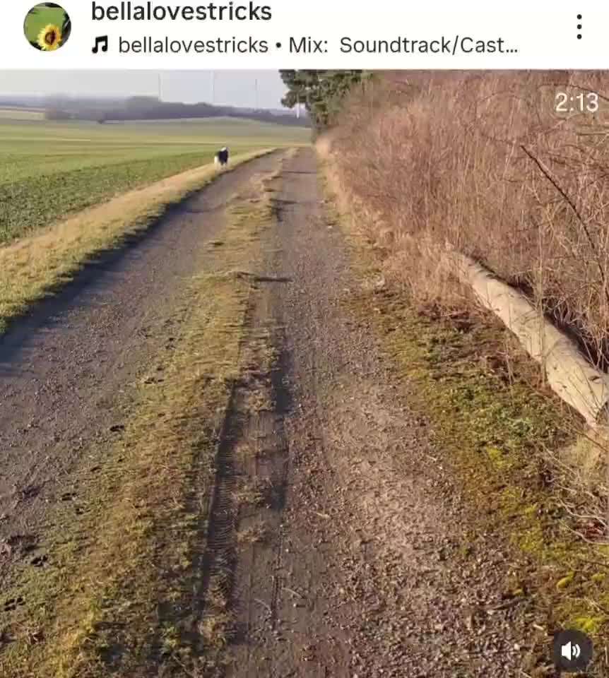 aktuelles Foto Gruppe Trickkiste