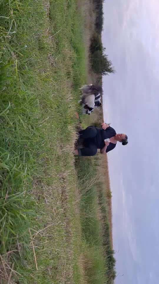 Trick Spiel - Koffer packen -der 22.-Beitrag-Bild