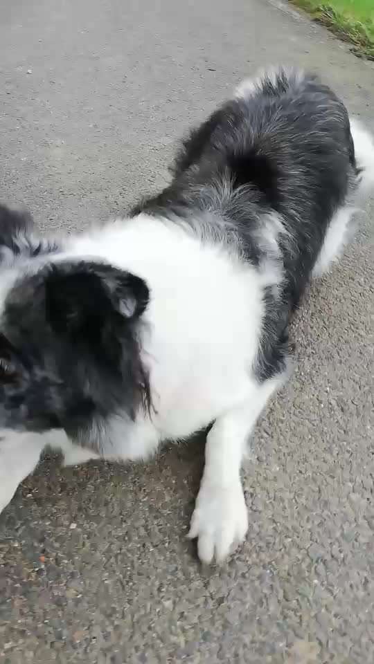 Trickchallenge - ich packe meinen 6. Koffer-Beitrag-Bild