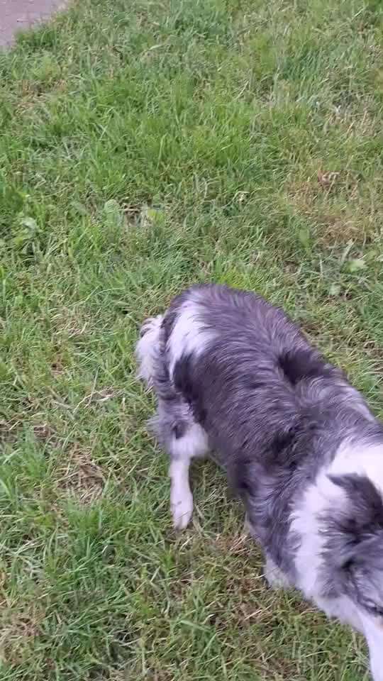 Trick Spiel - Koffer packen -der 22.-Beitrag-Bild