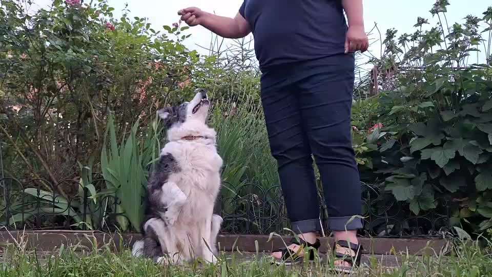 Trick Spiel - Koffer packen -der 22.-Beitrag-Bild