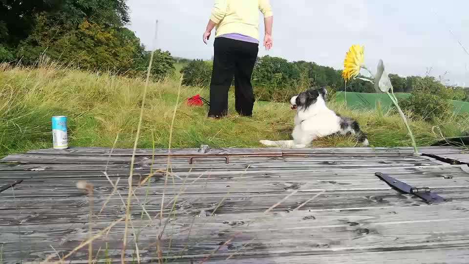 Veteranenzone - Koffer packen für fortgeschrittene-Beitrag-Bild