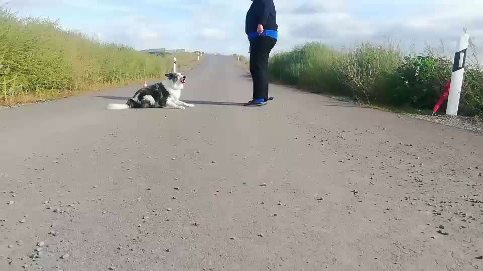 Veteranenzone - Koffer packen für fortgeschrittene-Beitrag-Bild