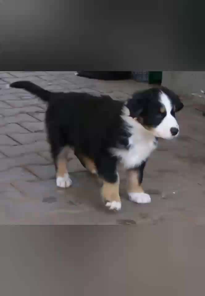 23. Kurzgeschichten - Auf zu neuen Abenteuern-Beitrag-Bild