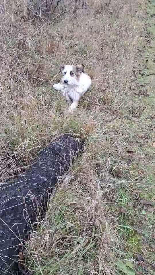 80. Trickspiel Balancieren-Beitrag-Bild