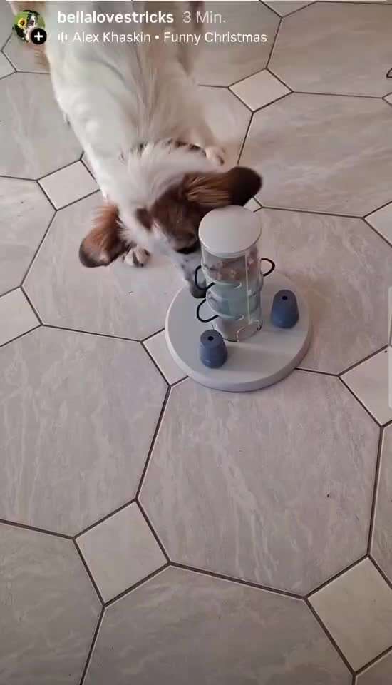 aktuelles Foto Gruppe Trickkiste