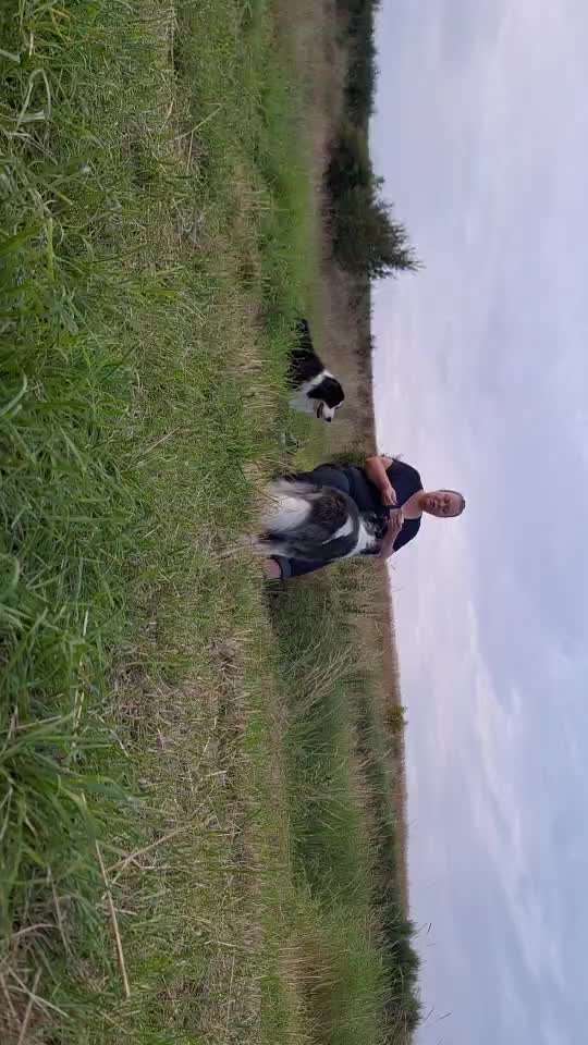 Trick Spiel - Koffer packen -der 22.-Beitrag-Bild