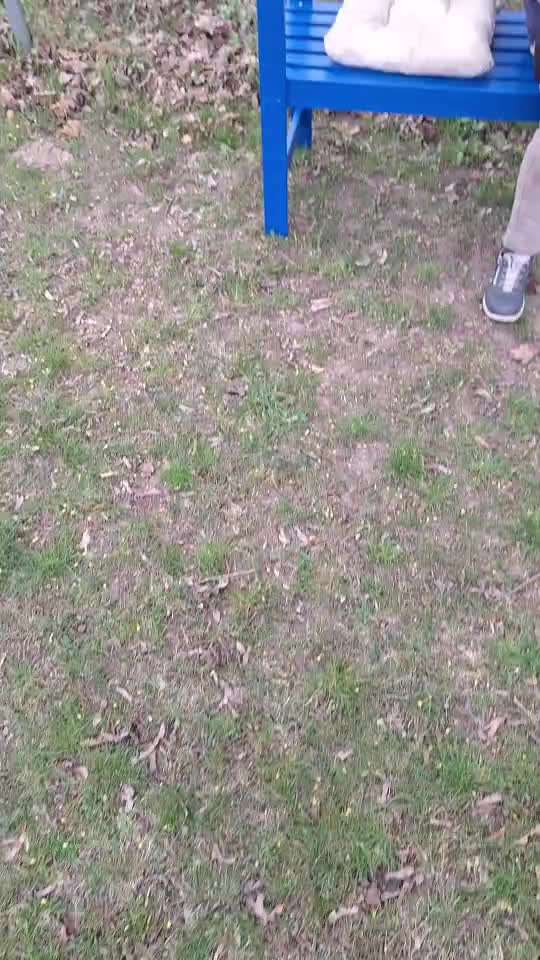 87. Trickchallenge: kinntarget-Beitrag-Bild