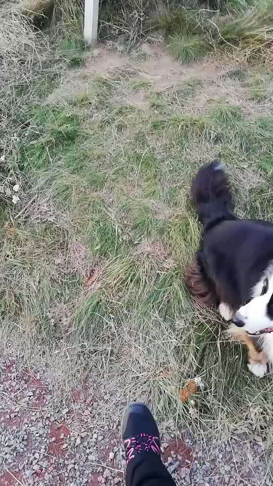 Trickchallenge - ich packe meinen 5. Koffer-Beitrag-Bild