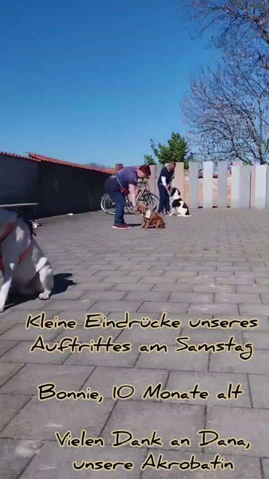 aktuelles Foto Gruppe Trickkiste