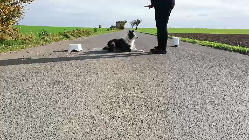 Veteranenzone - Koffer packen für fortgeschrittene-Beitrag-Bild