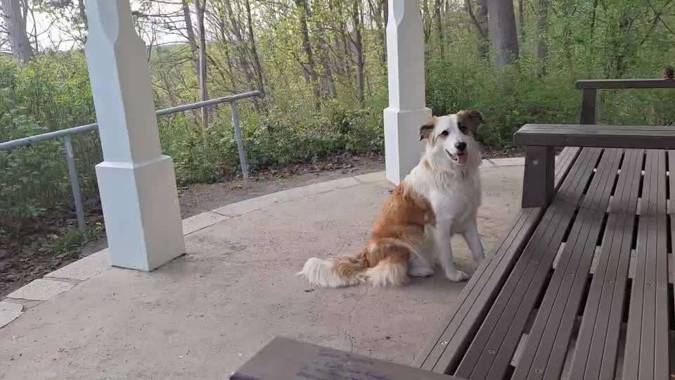 87. Trickchallenge: kinntarget-Beitrag-Bild