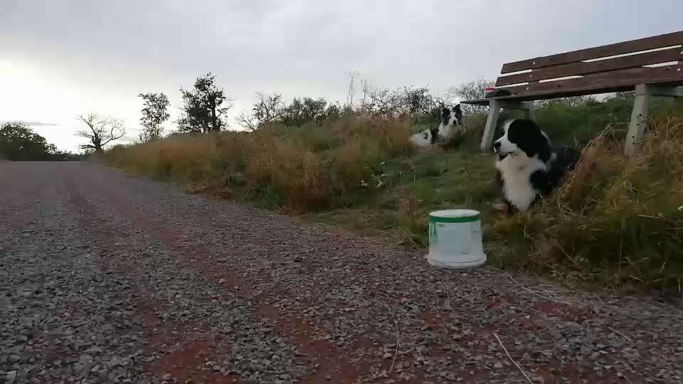 Trickchallenge - ich packe meinen 5. Koffer-Beitrag-Bild