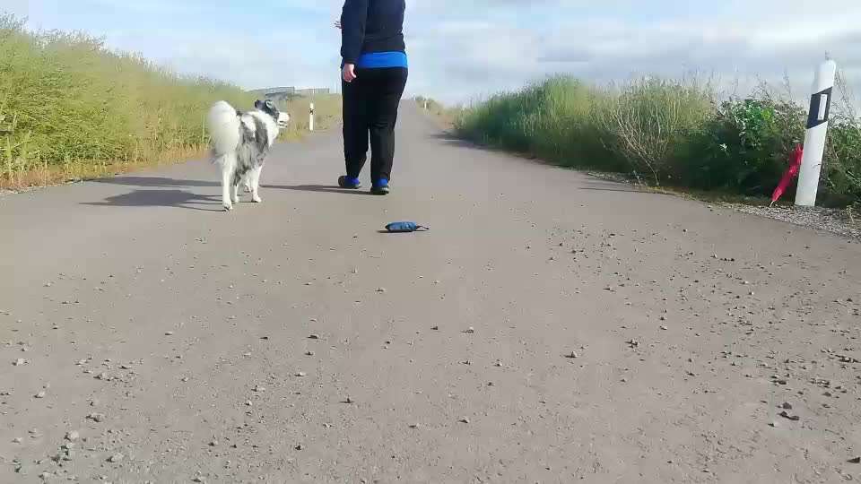 Veteranenzone - Koffer packen für fortgeschrittene-Beitrag-Bild