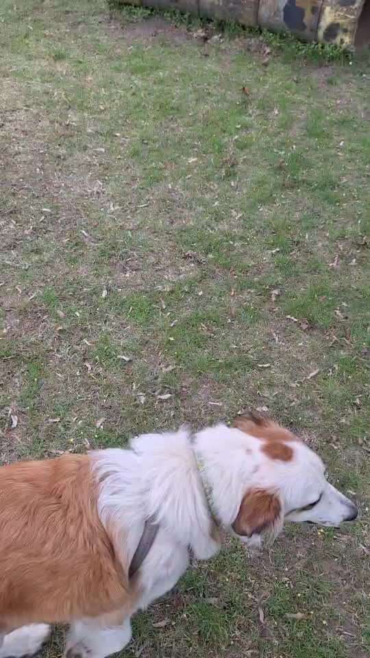 87. Trickchallenge: kinntarget-Beitrag-Bild