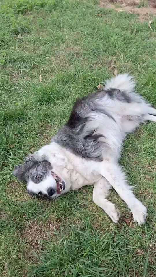 77. Trickspiel - Süß-Beitrag-Bild