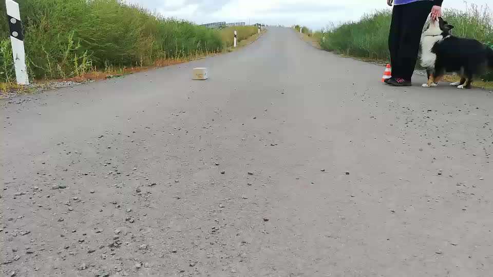 Trickchallenge - ich packe meinen 4. Koffer-Beitrag-Bild